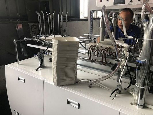 Macchina di carta eliminabile FBJ-D dell'incartonamento del pranzo dello spuntino