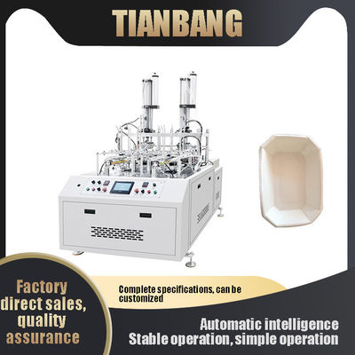 Carta eliminabile Tray Making Machine della scatola di pranzo
